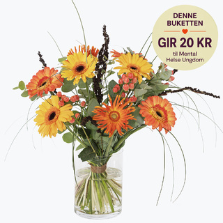 Mental Helse Ungdom - Gerbera